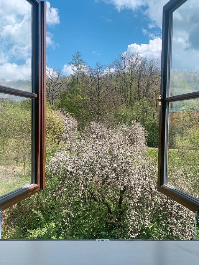 Zamek Ruda Nad Moravou Διαμέρισμα Εξωτερικό φωτογραφία